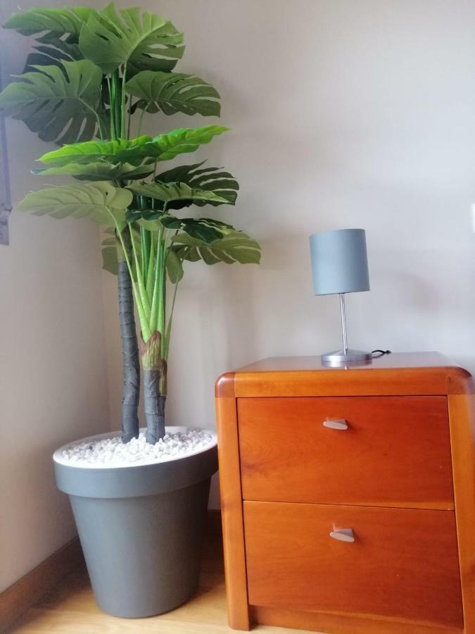 Lemon Tree Apartment 孔迪镇 外观 照片